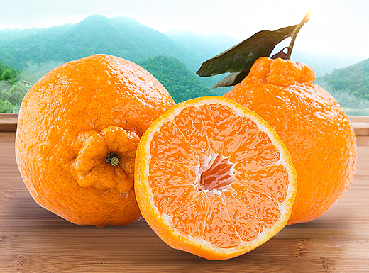 四川不知火丑柑