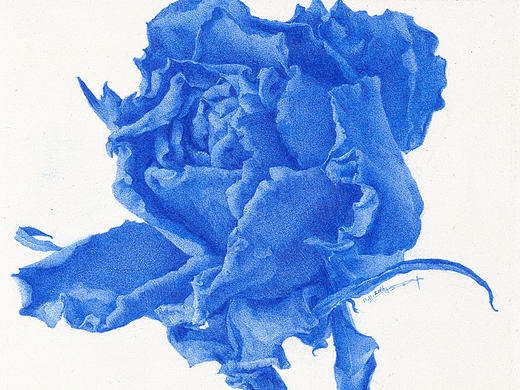 Rosa azul