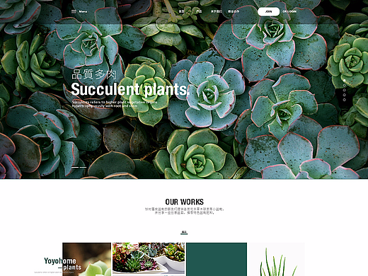 盆栽仙人掌（個人主頁-ZMjM4Mjc5NTY=） - 電商 - 站酷設(shè)計(jì)師白八爺原創(chuàng)素材 - 站酷ZCOOL