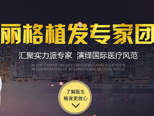 专家团队