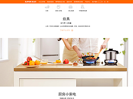 企業(yè)網(wǎng)站