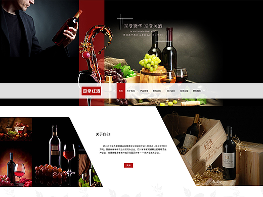 企业网站