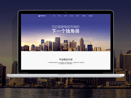 网站