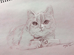 爱上猫
