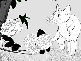 花间——猫与花