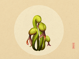 插画植物