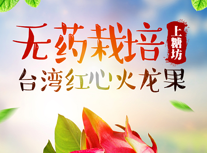 火龙果产品内页