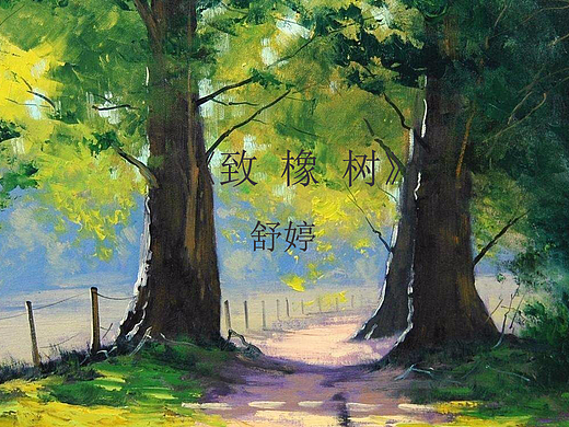 《致橡树》原文