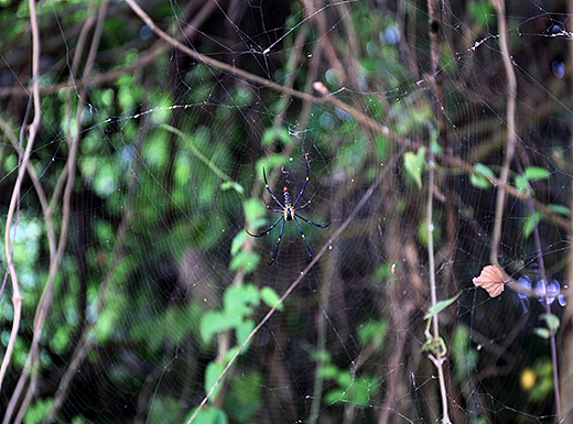 香港南丫岛_2017 6.1（个人主页-ZMjIzNTc2ODg=） - 风光摄影 - 站酷设计师萍清水原创素材 - 站酷ZCOOL