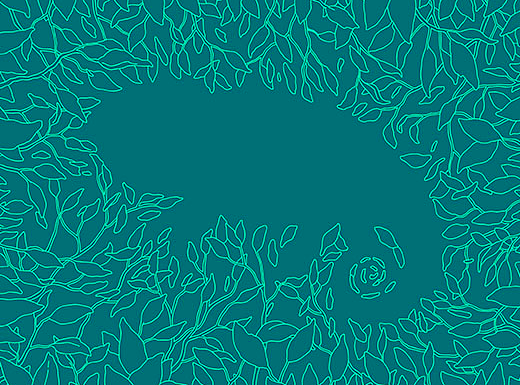 Chameleon2