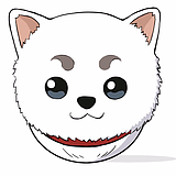 小小小小亦徐的头像