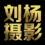刘杨摄影设计的头像