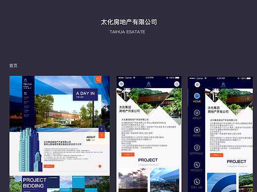 太化地产官网改版