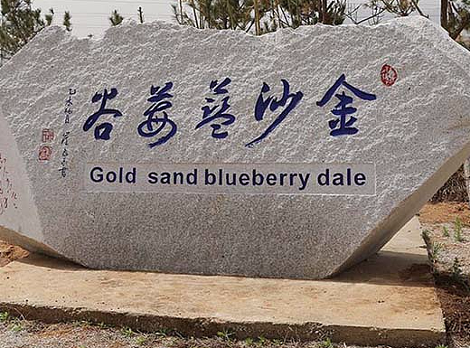 淘宝天猫蓝莓首页设计（个人主页-ZMjI1MTI3MjQ=） - 其他网页 - 站酷设计师嗯哼嗯哼哦耶原创素材 - 站酷ZCOOL