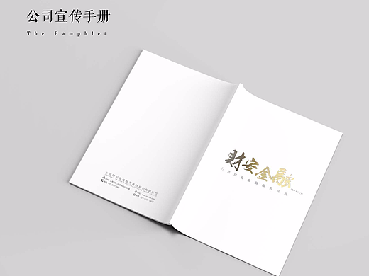 最新制作的金融行业公司手册（未定稿）