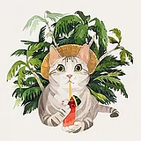panmiaomiao的头像