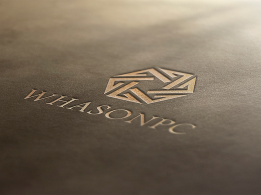 华盛（个人主页-ZMjM4ODUxNzY=） - Logo - 站酷设计师东京街头的屎壳郎原创素材 - 站酷ZCOOL