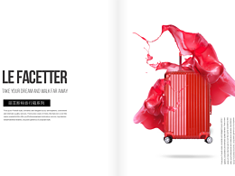 箱包產(chǎn)品詳情設(shè)計(jì) 油漆噴濺式 行李箱