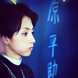 神秘的长颈鹿的头像