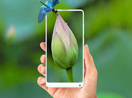 小荷才露尖尖角