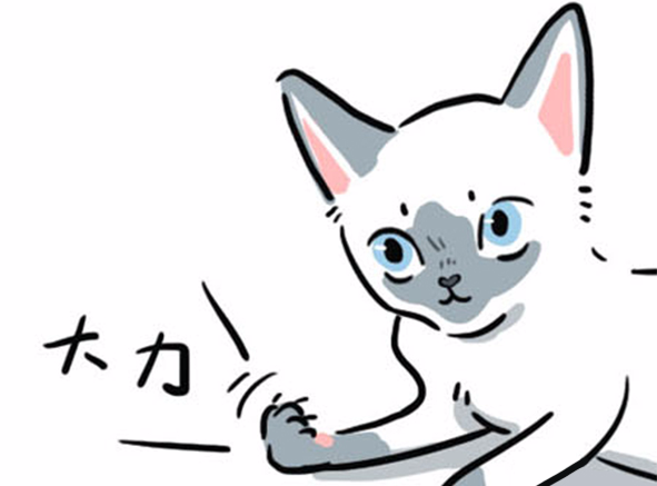 baobao猫叫