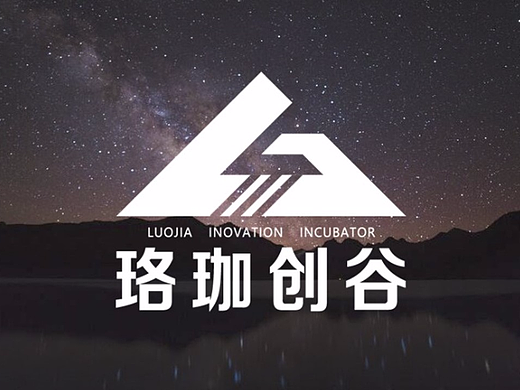 珞珈创谷品牌vi logo 设计