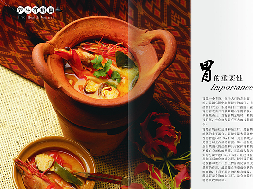 膳食画册（个人主页-ZMjI5ODQzNDA=） - 书籍/画册 - 站酷设计师晴天的暖阳原创素材 - 站酷ZCOOL