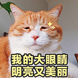 王尼玛叫兽的头像