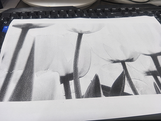 画