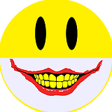 疯脸loonyface的头像