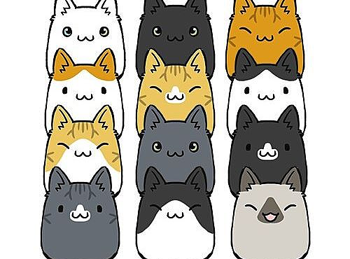 1 day 1 cat – day2