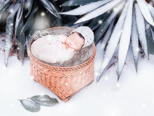 儿童 合成 创意 摄影 人像