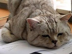 系列作品（个人主页-ZMjMwMjUzNTI=） - 其他UI - 站酷设计师入毒已深的设计尸原创素材 - 站酷ZCOOL