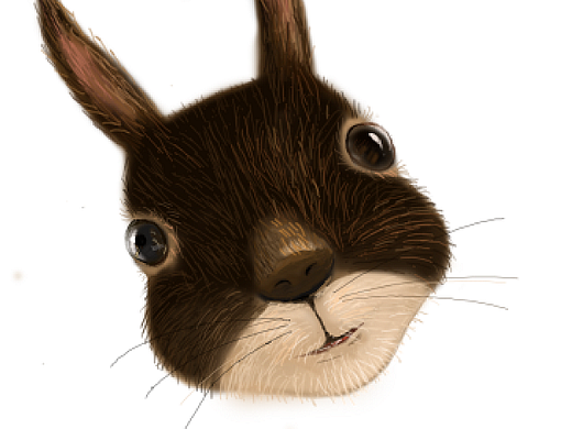 鼠繪小松鼠《求抱走》（個人主頁-ZMjMzODE3MDA=） - 創(chuàng)作習作 - 站酷設計師Kary0513原創(chuàng)素材 - 站酷ZCOOL