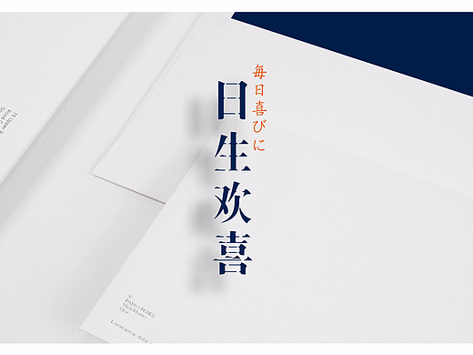 日生欢喜-品牌视觉设计