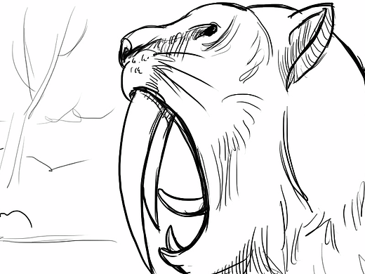 分鏡-老虎（個(gè)人主頁(yè)-ZMjI4OTIxODg=） - 其他 - 站酷設(shè)計(jì)師文穎原創(chuàng)素材 - 站酷ZCOOL