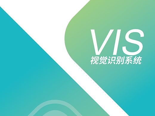 VI一套