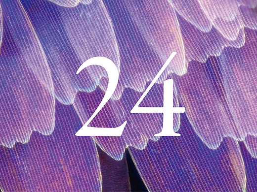 第24天#交互40天#重新设计3