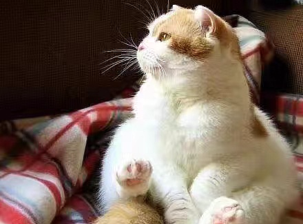 既别没事找我做设计后，我想说，也别随便找我做策划案