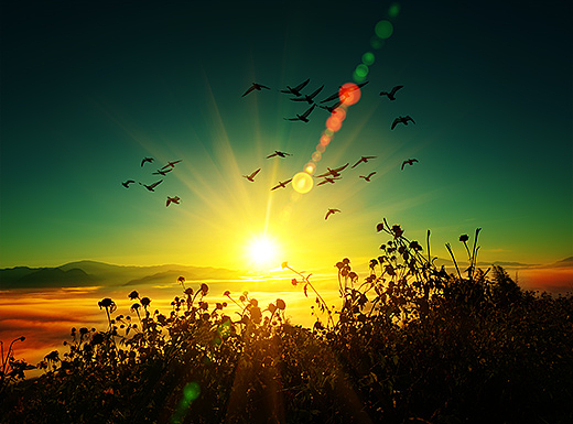 PS风景照后期调色——打造别样风景色调