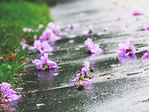 一些随拍（个人主页-ZMjMzNTQ0ODg=） - 风光摄影 - 站酷设计师尼桑1990原创素材 - 站酷ZCOOL