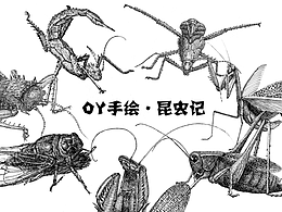 昆虫记