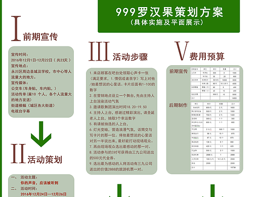 999 罗汉果宣传策划方案
