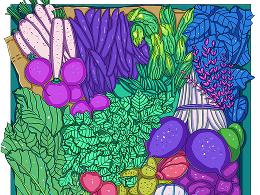 美食插画（个人主页-ZMjM3NTAwNTI=） - 商业插画 - 站酷设计师小程的画原创素材 - 站酷ZCOOL