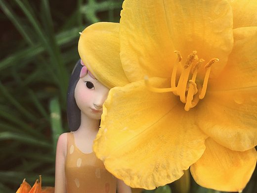 黑荔枝Flower系列-再见春天