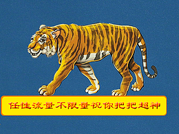腾讯虎王卡