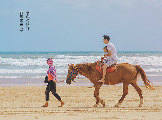 平摊海之行(我哥一家)