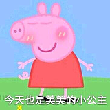 一只蚊子的头像
