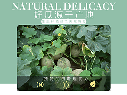 详情页
