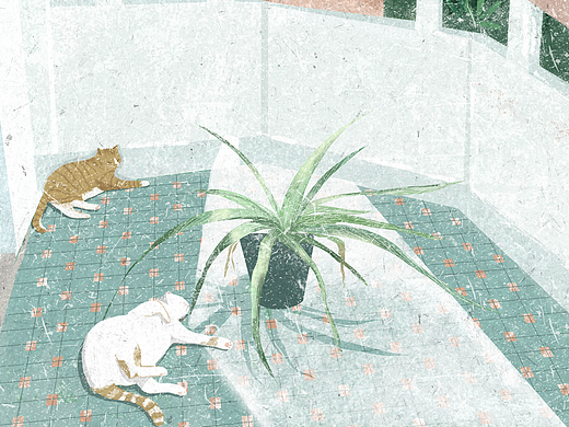 想要有猫的阳台！